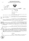 Vista preliminar de documento RDR 2876-2024