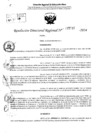 Vista preliminar de documento RDR 5535-2024