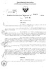 Vista preliminar de documento RDR 2879-2024