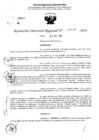 Vista preliminar de documento RDR 4139-2024