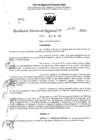 Vista preliminar de documento RDR 4140-2024
