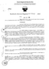 Vista preliminar de documento RDR 4142-2024