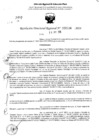 Vista preliminar de documento RDR 4144-2024
