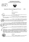 Vista preliminar de documento RDR 5538-2024