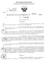 Vista preliminar de documento RDR 2882-2024