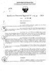 Vista preliminar de documento RDR 4138-2024