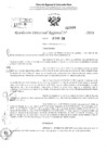Vista preliminar de documento RDR 2884-2024