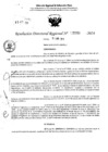 Vista preliminar de documento RDR 5351-2024