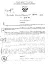 Vista preliminar de documento RDR 2890-2024