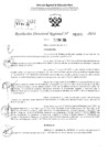 Vista preliminar de documento RDR 2891-2024