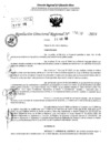 Vista preliminar de documento RDR 4152-2024
