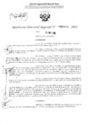 Vista preliminar de documento RDR 2892-2024