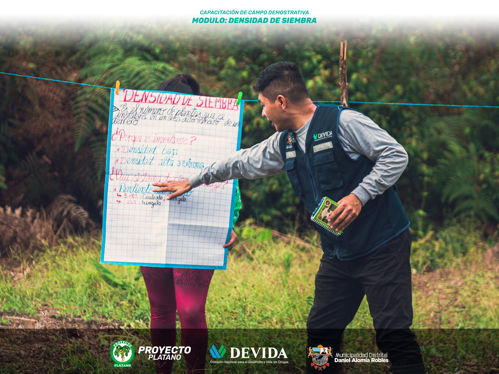 Proyecto Plátano