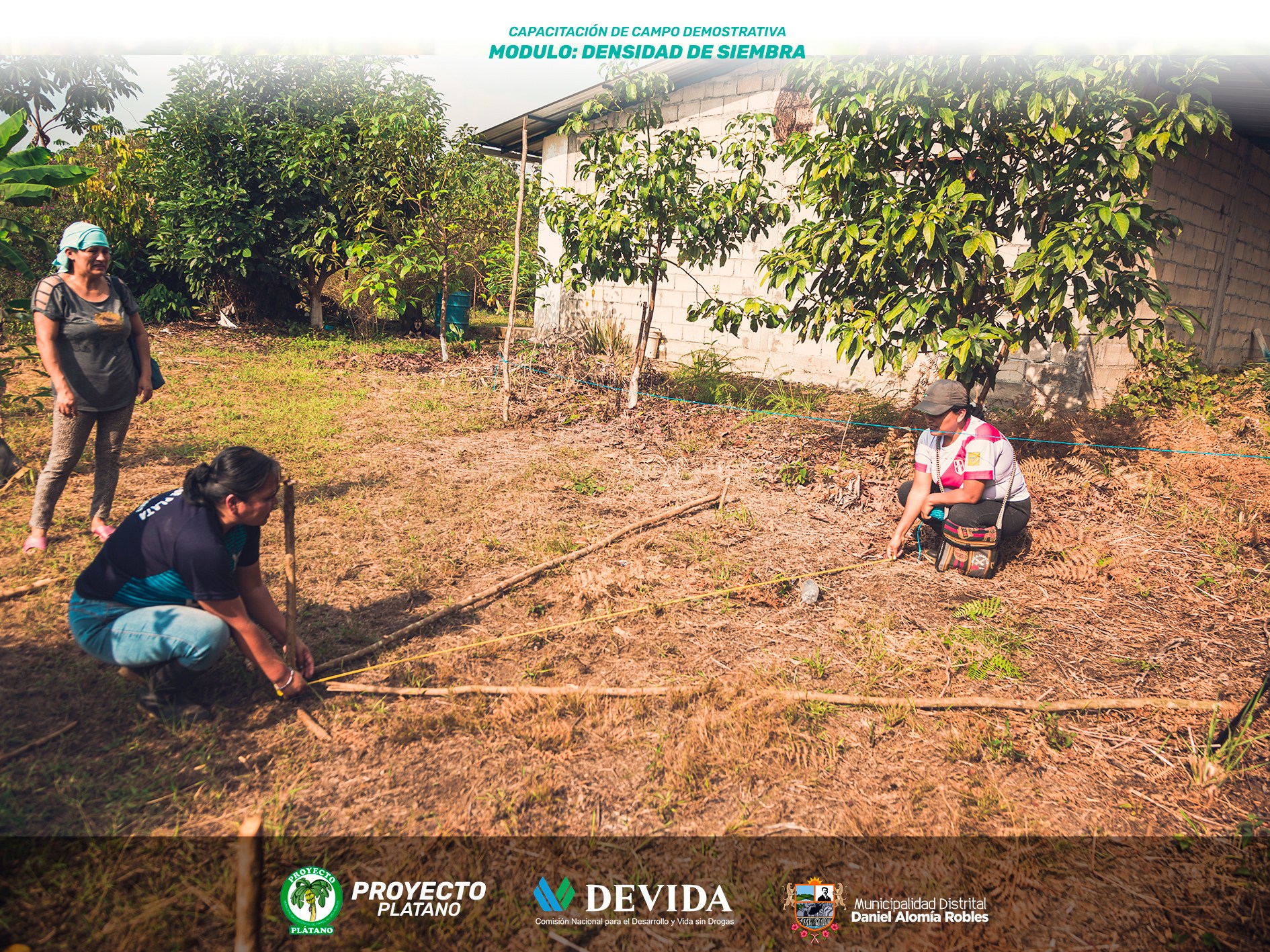 Proyecto Plátano