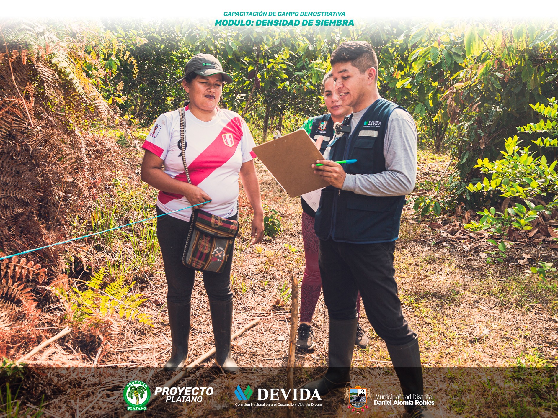 Proyecto Plátano