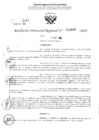 Vista preliminar de documento RDR 2895-2024
