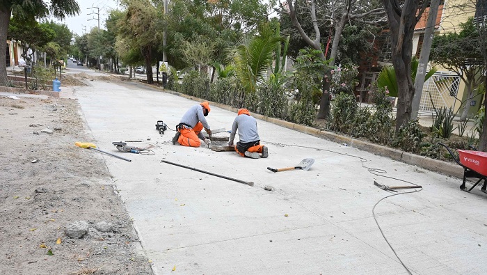 Av. Las Palmeras