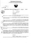 Vista preliminar de documento RDR 5356-2024