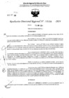 Vista preliminar de documento RDR 5358-2024