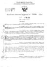 Vista preliminar de documento RDR 2896-2024