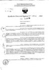 Vista preliminar de documento RDR 5624-2024