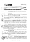 Vista preliminar de documento RDR 5625-2024