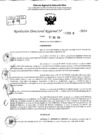 Vista preliminar de documento RDR 5628-2024