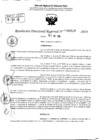 Vista preliminar de documento RDR 5629-2024