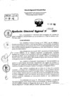 Vista preliminar de documento RDR 5632-2024