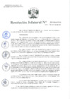 Vista preliminar de documento Resolución Jefatural Nº 222-2024-INEI
