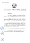 Vista preliminar de documento Resolución Jefatural Nº 223-2024-INEI