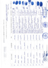 Vista preliminar de documento Padron Beneficiario finales-101-200