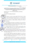 Vista preliminar de documento Ordenanza Municipal N°009-2024-MDPA