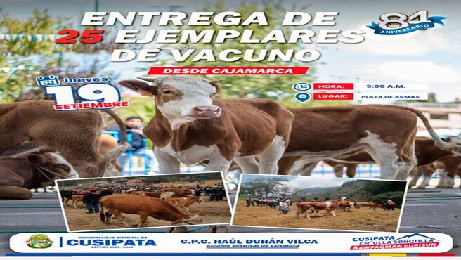 Ceremonia de entrega de ganado Fleckieh: Impulso para el Desarrollo Ganadero en Cusipata