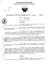 Vista preliminar de documento RDR 5115-2024