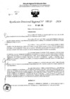 Vista preliminar de documento RDR 5116-2024