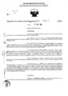 Vista preliminar de documento RDR 5117-2024