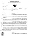 Vista preliminar de documento RDR 5118-2024