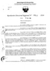 Vista preliminar de documento RDR 5123-2024