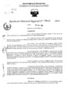 Vista preliminar de documento RDR 5125-2024