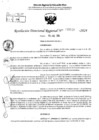 Vista preliminar de documento RDR 5128-2024