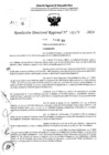 Vista preliminar de documento RDR 5372-2024