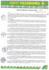 Vista preliminar de documento RADMIN 297 2024