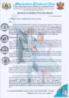 Vista preliminar de documento RA 032-2024 aprobacion de PRESUPUESTO POC POC