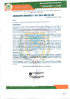 Vista preliminar de documento RESOLUCION GERENCIAL N° 37-2024