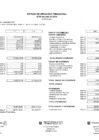 Vista preliminar de documento Estado de Situación Financiera 2024 - II Trimestre
