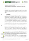 Vista preliminar de documento R.D.R.S N° 22