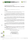 Vista preliminar de documento R.D.R.S N° 25