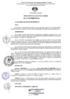 Vista preliminar de documento RA N 225 - Encargatura SGCA