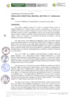 Vista preliminar de documento R.D.R.S N° 30
